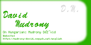 david mudrony business card